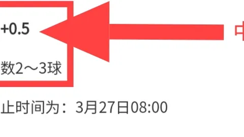 埃及超5连胜全胜专家期号大乐透质合分析推荐前区十码