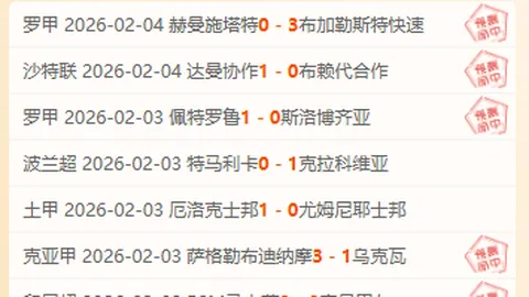 前国安球员欧战绽放光芒